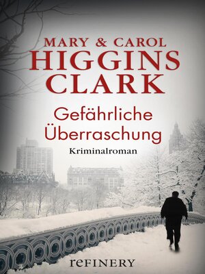 cover image of Gefährliche Überraschung